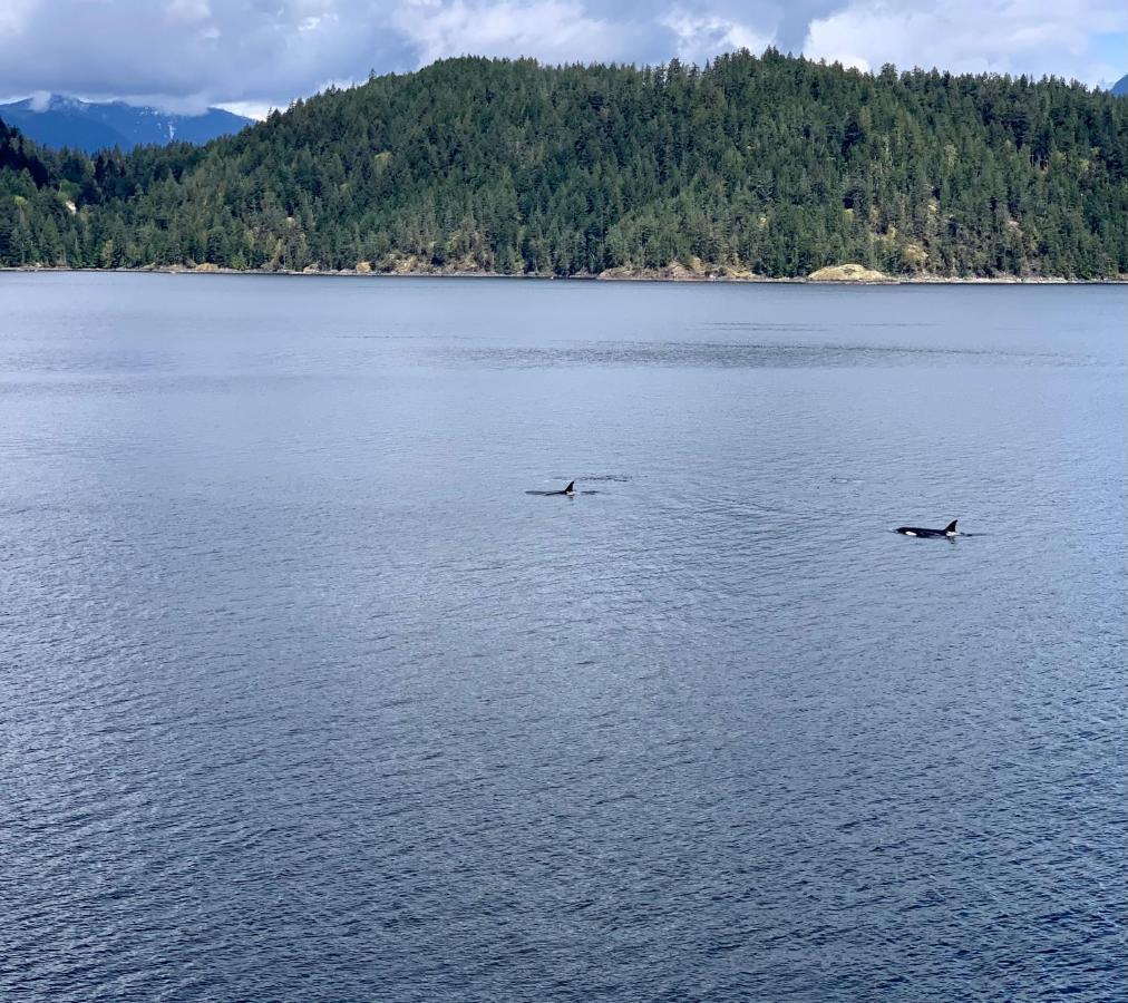 Bed and Breakfast Earls Cove Orca View Egmont Экстерьер фото